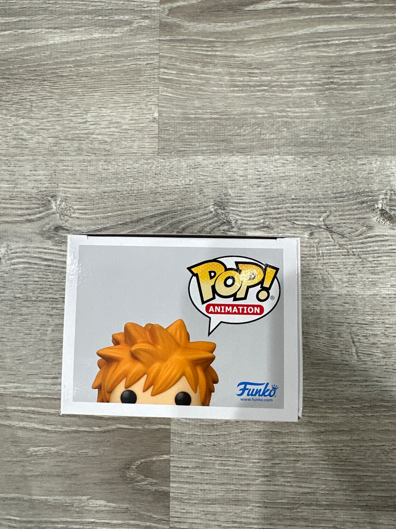 Ichigo (Signed) - Funko Flip Kyle